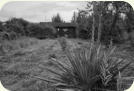 Garten 54